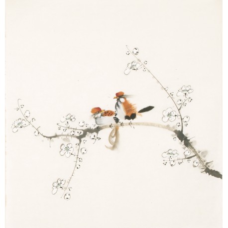 Other Birds - CNAG006034