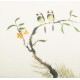 Other Birds - CNAG006035