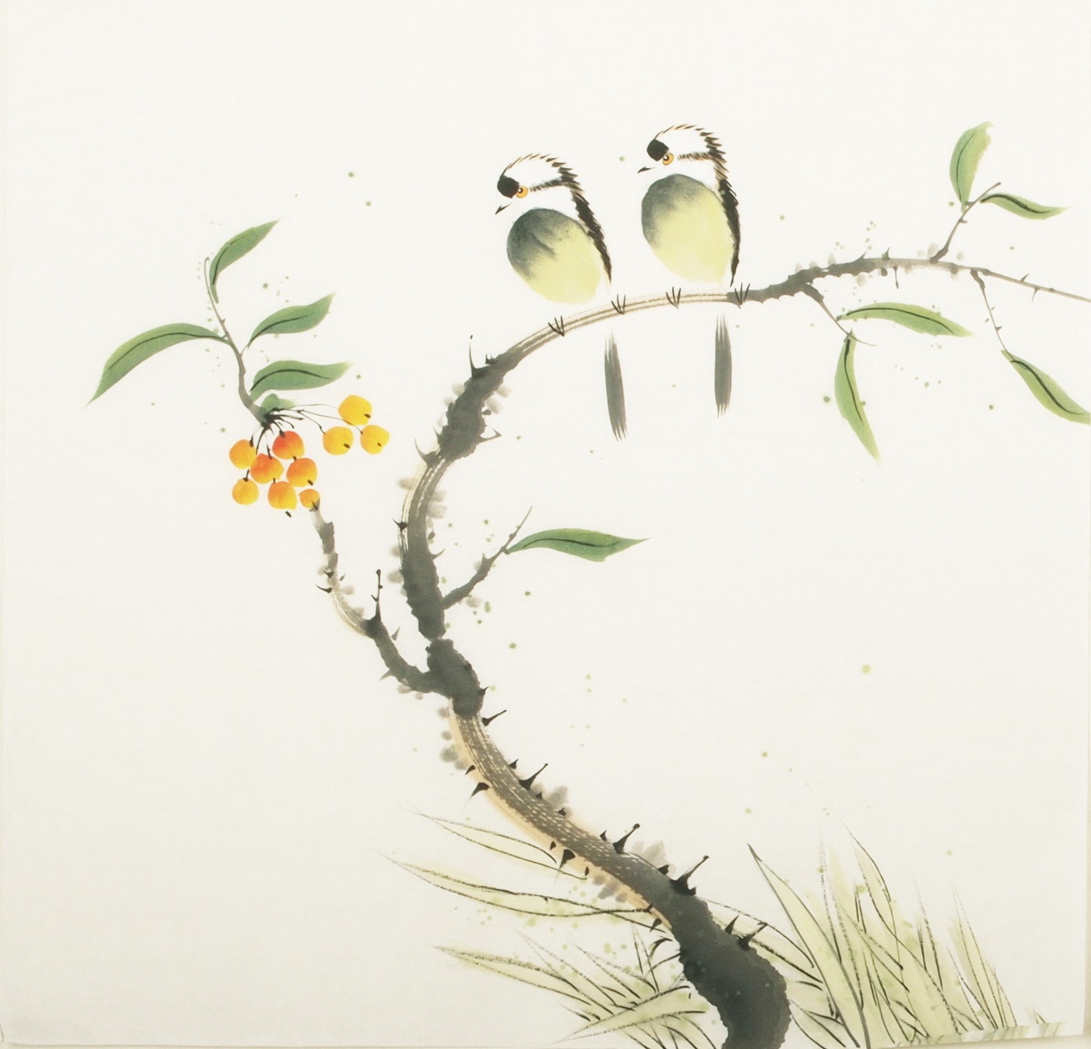Other Birds - CNAG006035