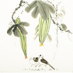 Other Birds - CNAG006039