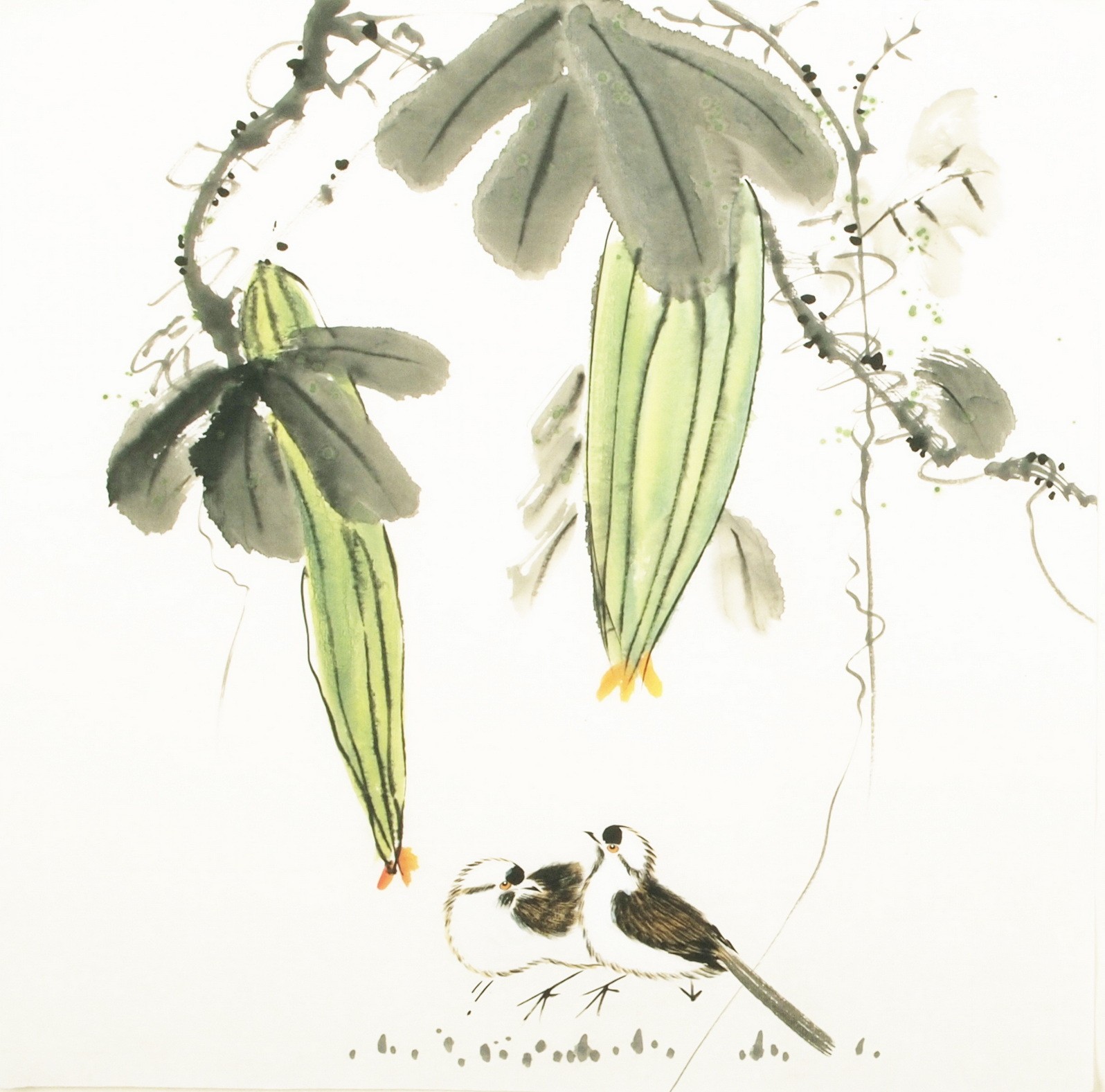 Other Birds - CNAG006039