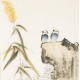 Other Birds - CNAG006041