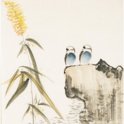 Other Birds - CNAG006041