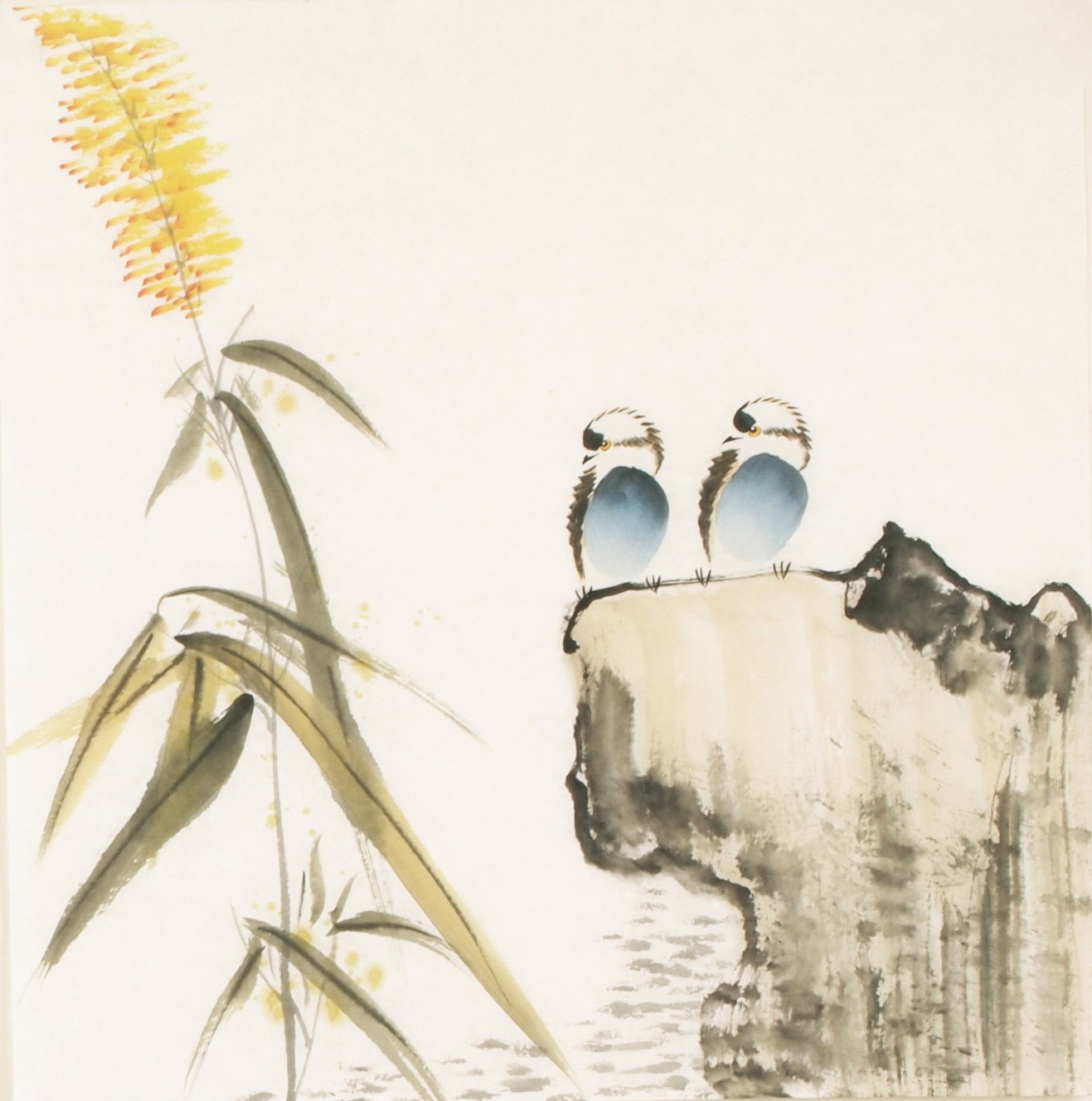 Other Birds - CNAG006041