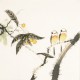 Other Birds - CNAG006043