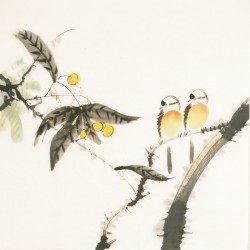 Other Birds - CNAG006043