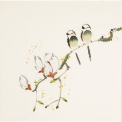 Other Birds - CNAG006044