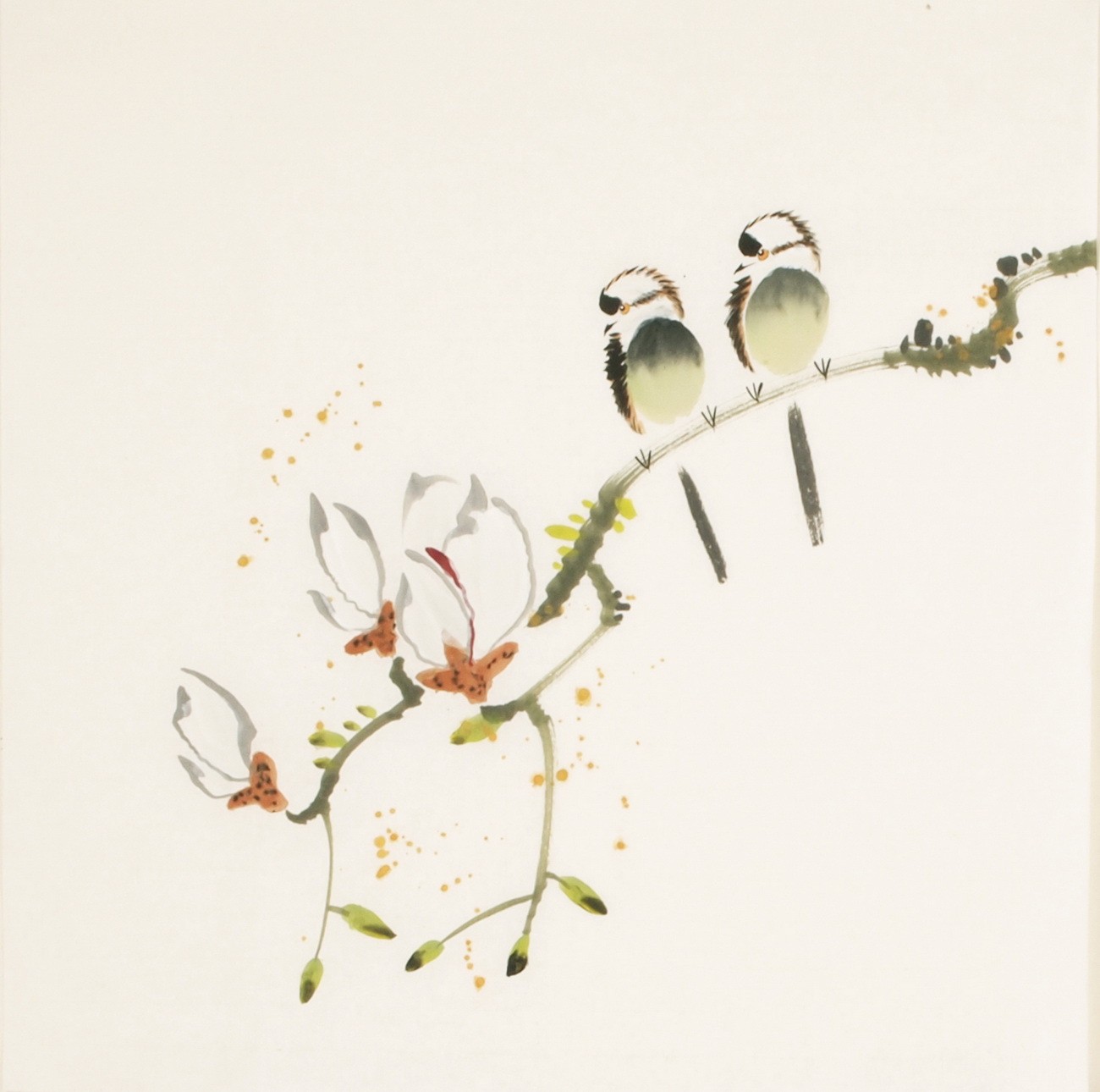 Other Birds - CNAG006044