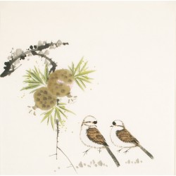 Other Birds - CNAG006045
