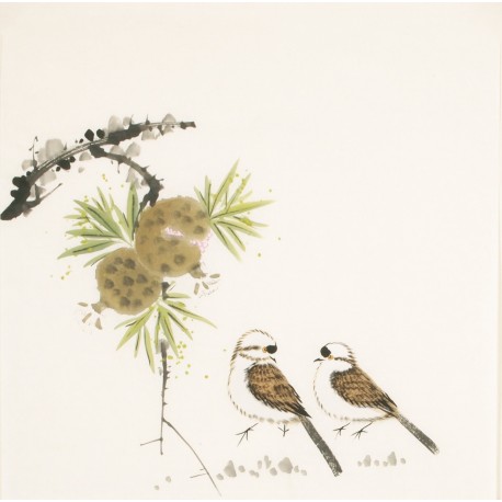 Other Birds - CNAG006045