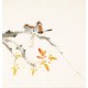 Other Birds - CNAG006048
