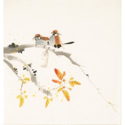 Other Birds - CNAG006048
