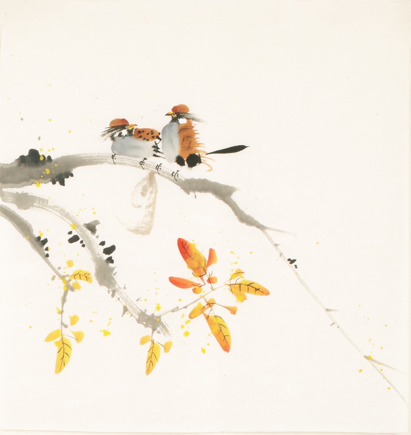 Other Birds - CNAG006048