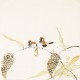 Other Birds - CNAG006049