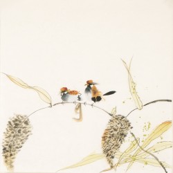 Other Birds - CNAG006049