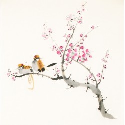 Other Birds - CNAG006050