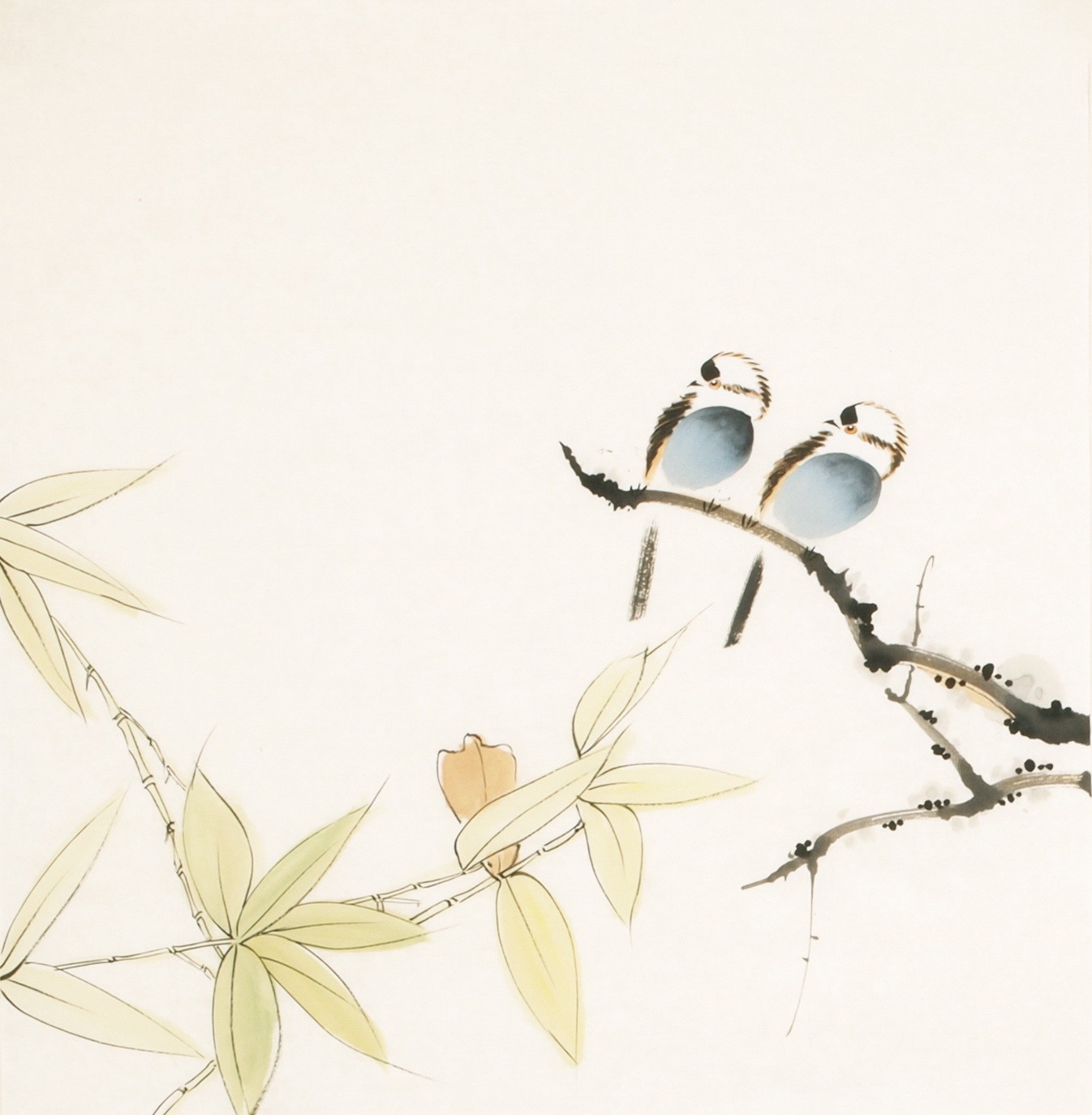 Other Birds - CNAG006051