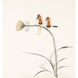 Other Birds - CNAG006053