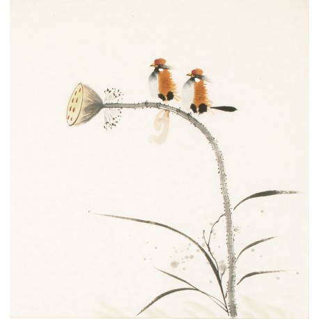 Other Birds - CNAG006053