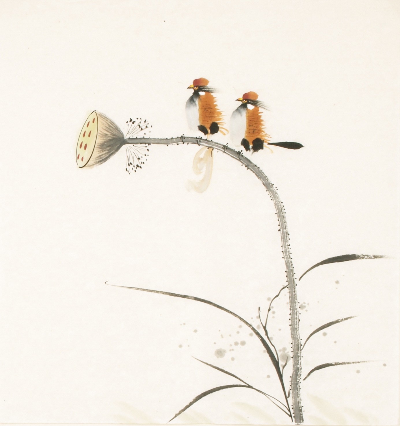 Other Birds - CNAG006053