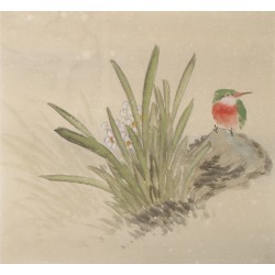 Other Birds - CNAG006055