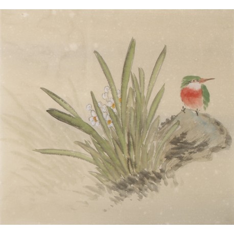 Other Birds - CNAG006055