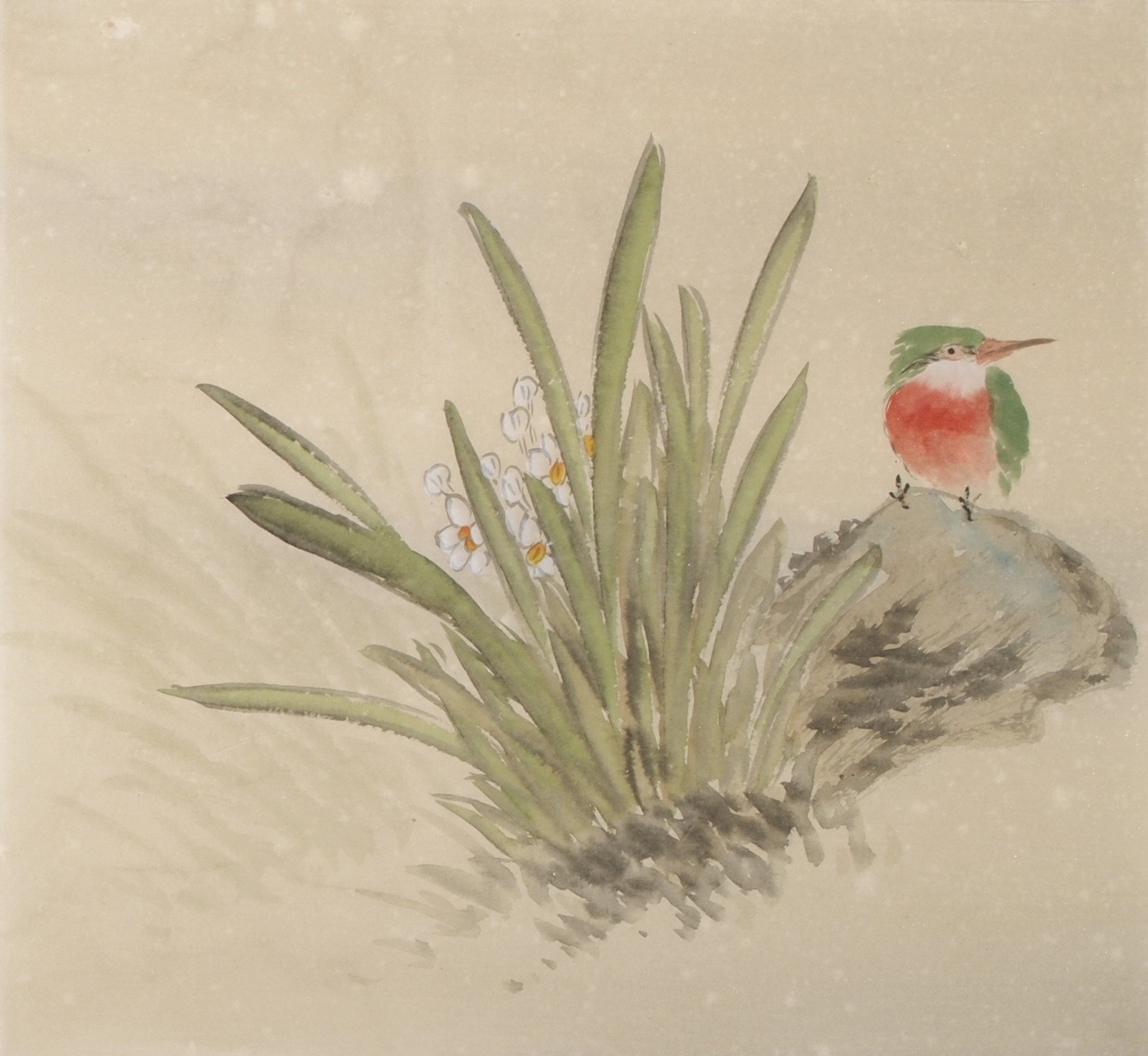 Other Birds - CNAG006055