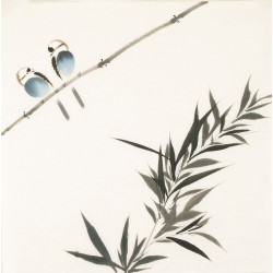 Other Birds - CNAG006057