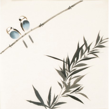 Other Birds - CNAG006057