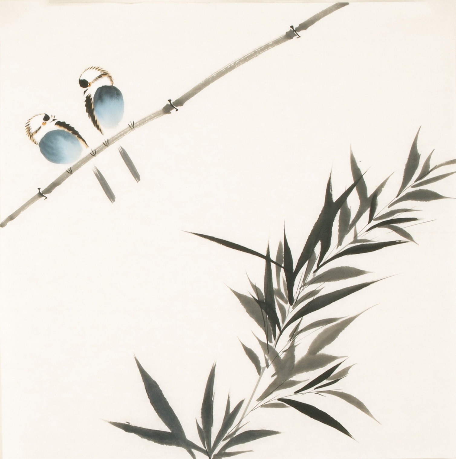 Other Birds - CNAG006057
