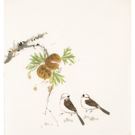 Other Birds - CNAG006058