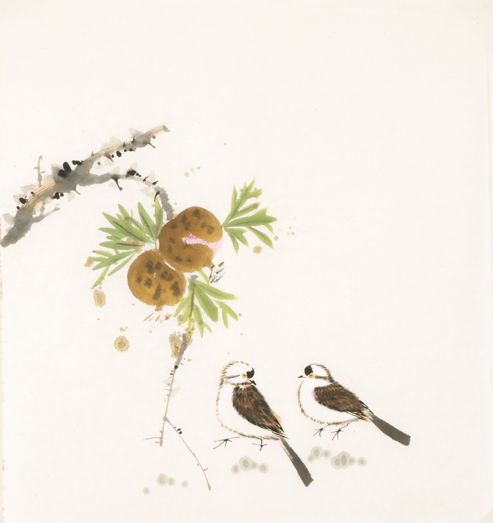 Other Birds - CNAG006058