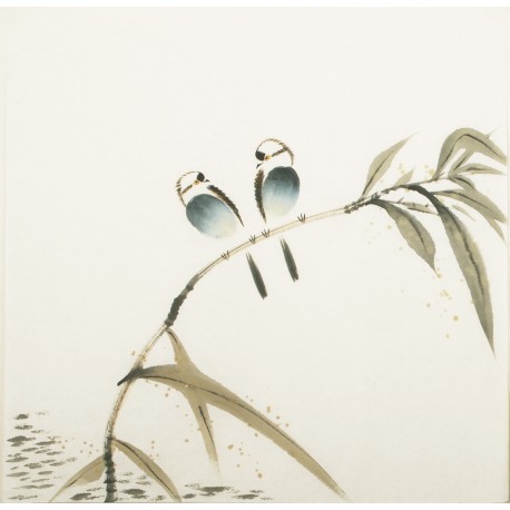 Other Birds - CNAG006059
