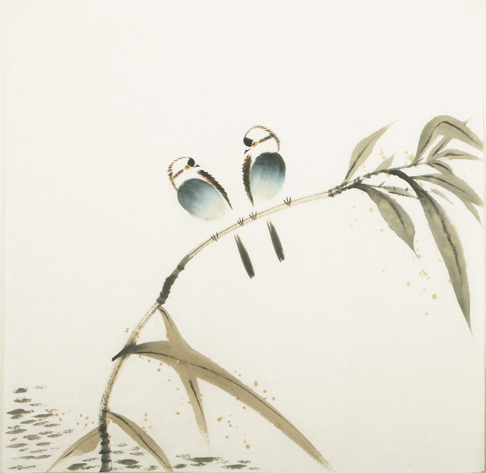 Other Birds - CNAG006059