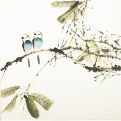 Other Birds - CNAG006060