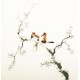 Other Birds - CNAG006061