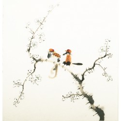 Other Birds - CNAG006061
