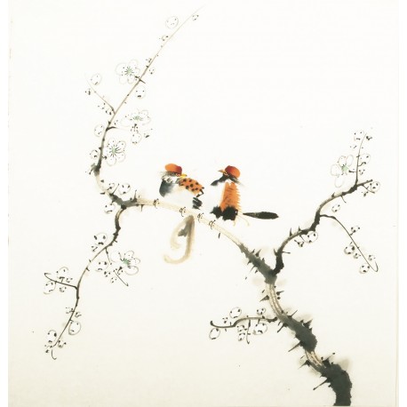 Other Birds - CNAG006061