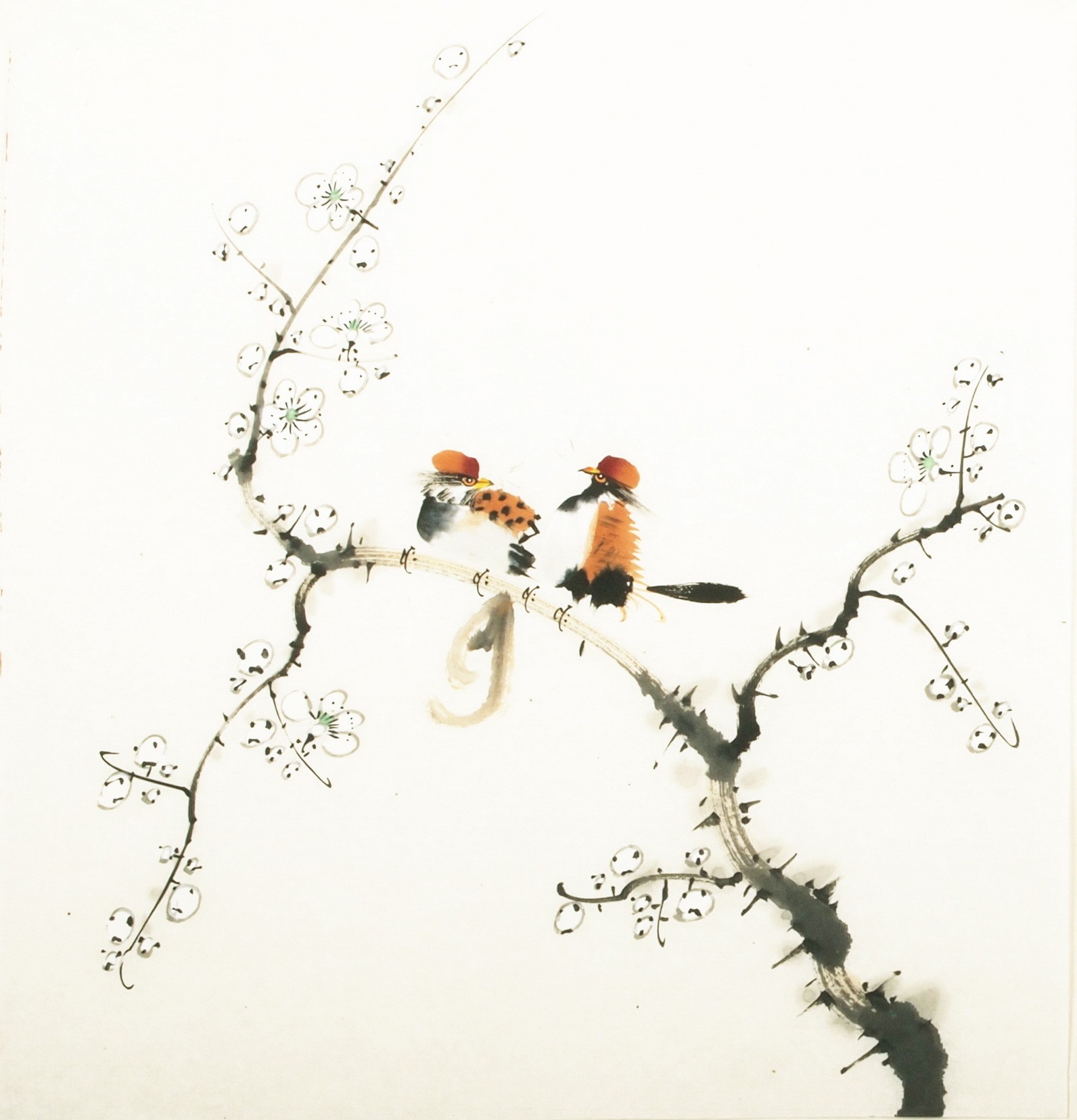 Other Birds - CNAG006061