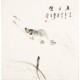 Fish - CNAG006064