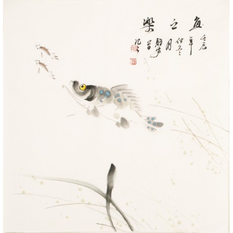 Fish - CNAG006064