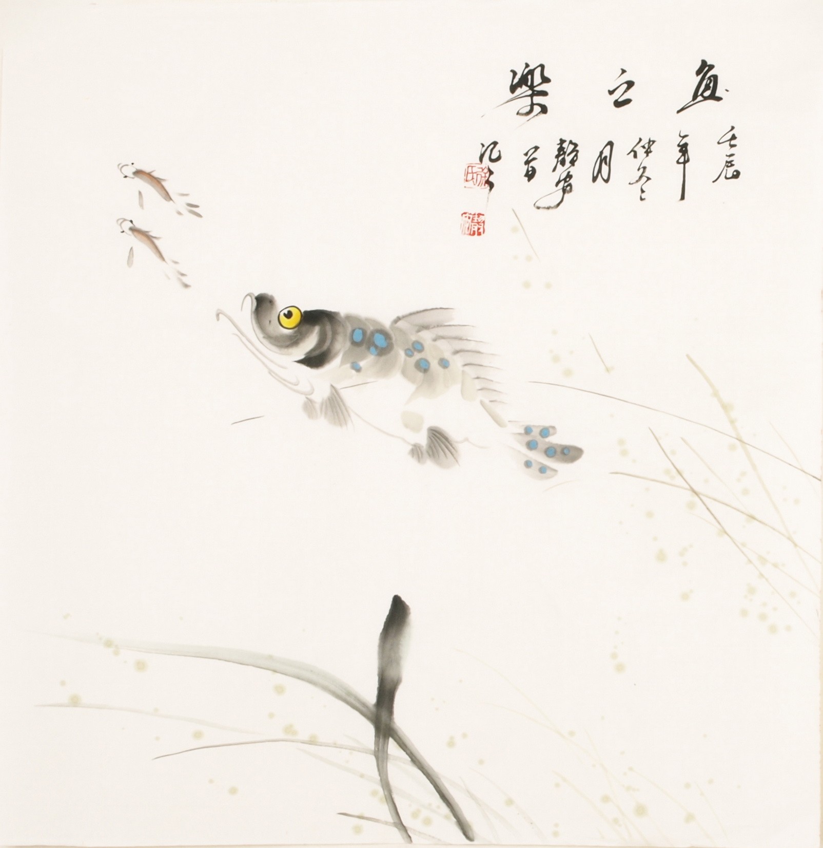 Fish - CNAG006064