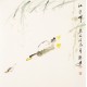 Fish - CNAG006067