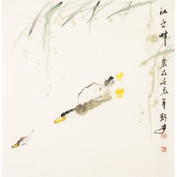 Fish - CNAG006067