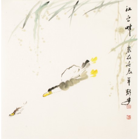 Fish - CNAG006067