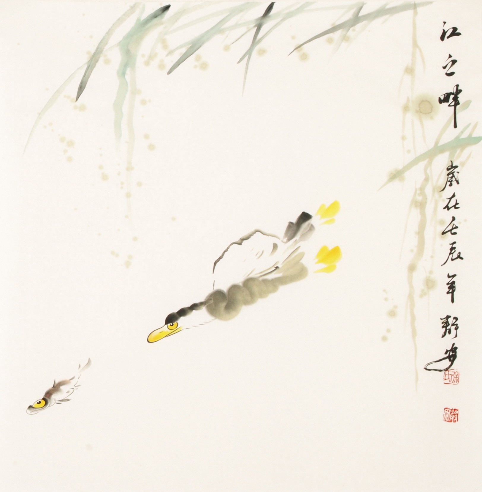 Fish - CNAG006067