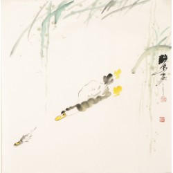 Fish - CNAG006069