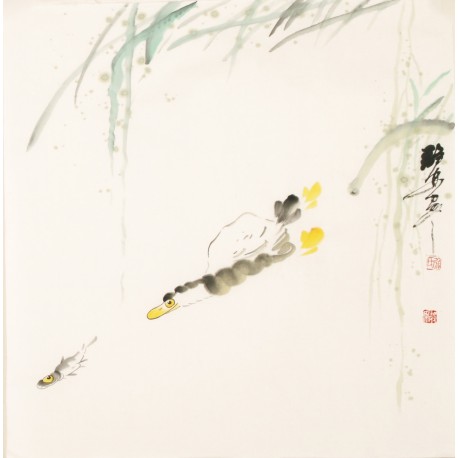 Fish - CNAG006069