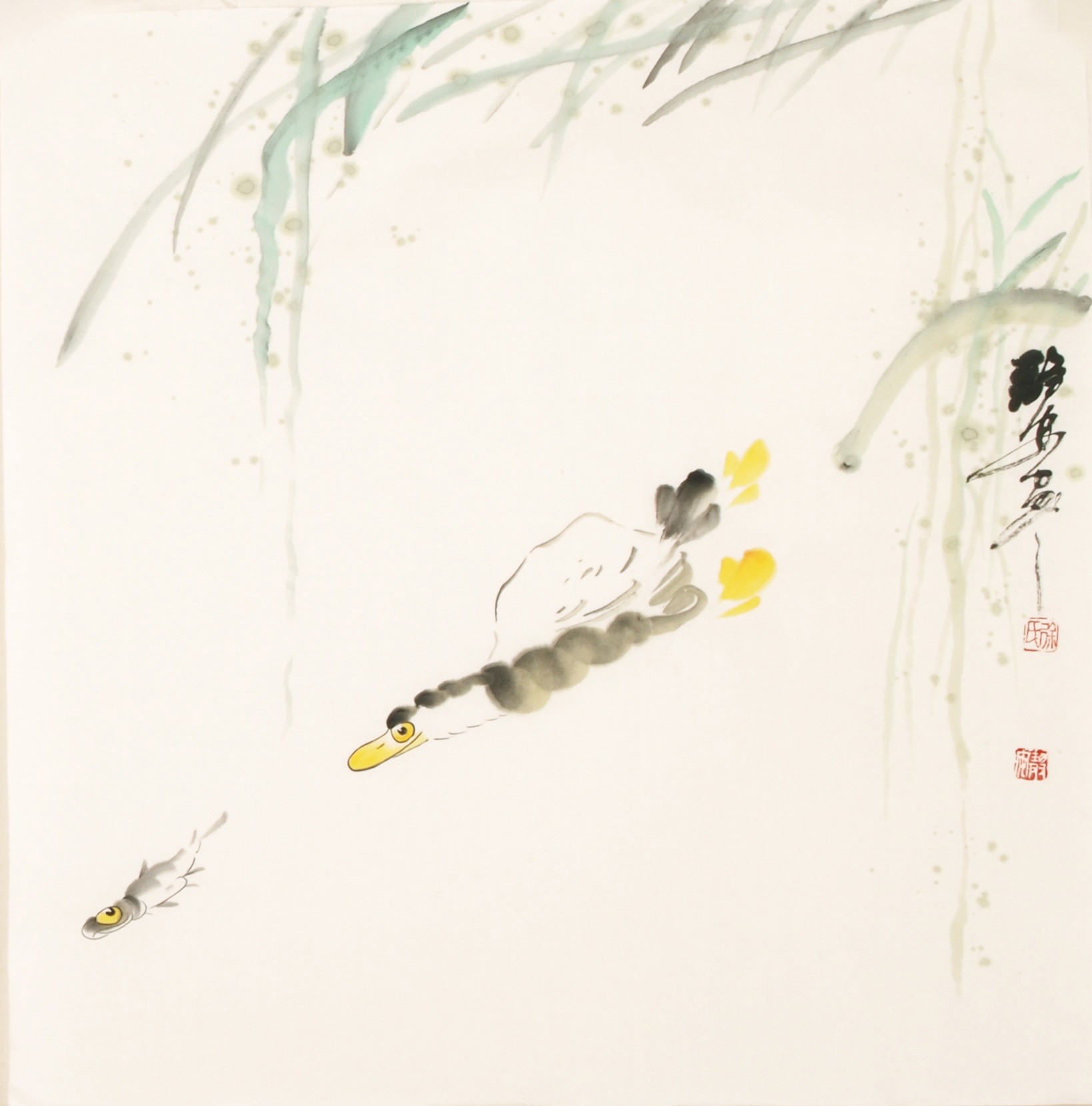 Fish - CNAG006069