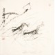 Shrimp - CNAG006074